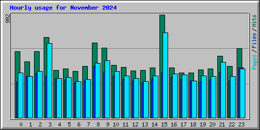 Hourly usage for November 2024