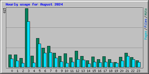 Hourly usage for August 2024