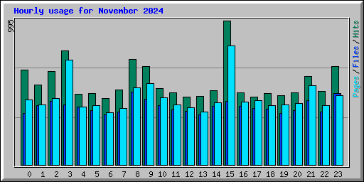 Hourly usage for November 2024